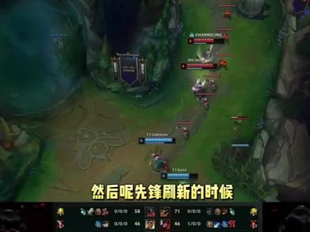 森林狼之所 森林狼之所