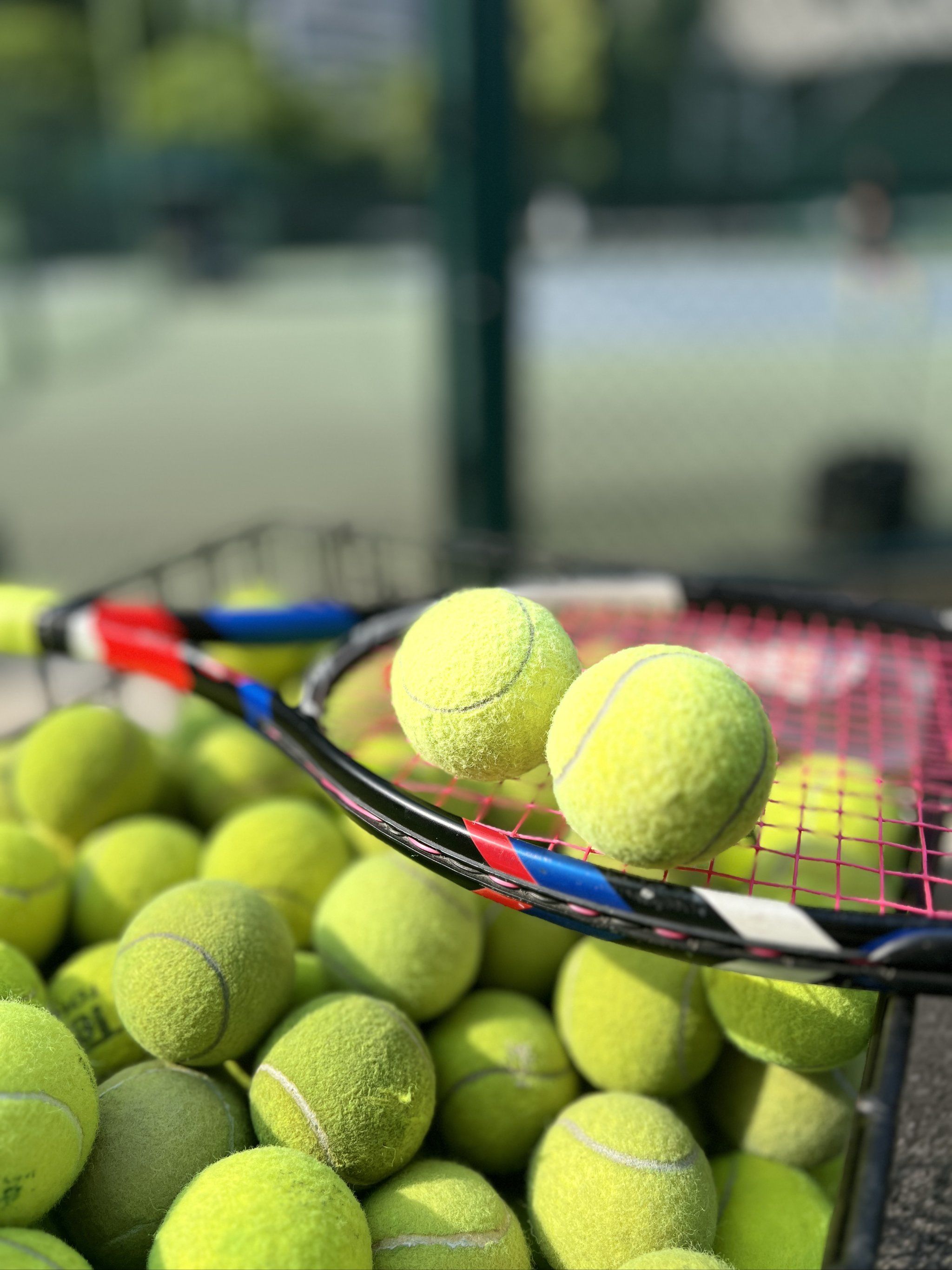 因为她对每 因为她对每