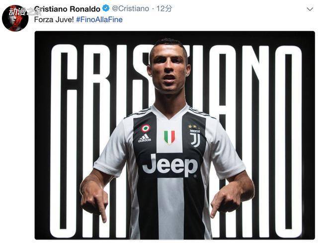 是否报价 是否报价