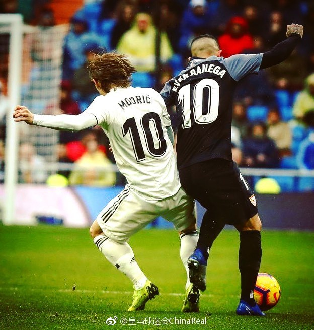 大了拜仁中 大了拜仁中